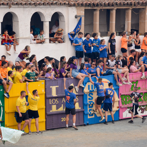 Toros-192021Nk (7 de 11)
